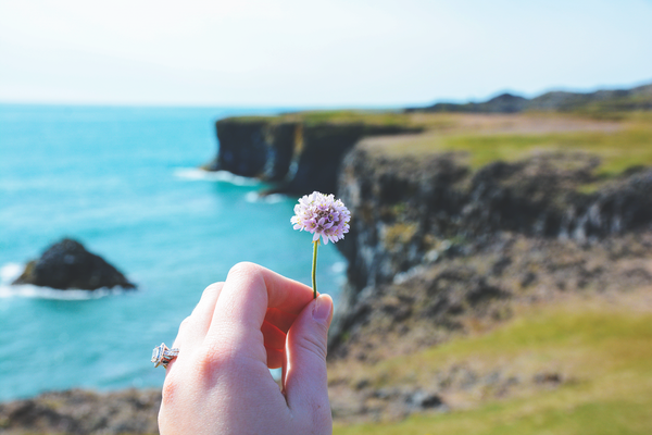 west iceland